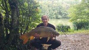 Mirror Carp