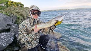 Northern Pike