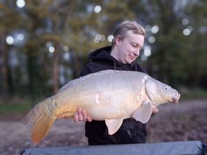 Mirror Carp