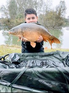 Common Carp