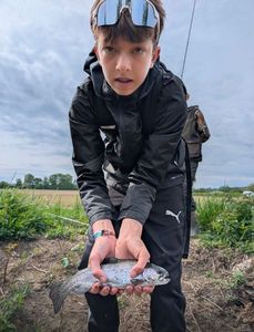 Rainbow Trout