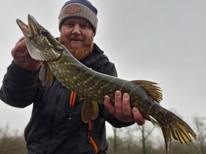 Northern Pike