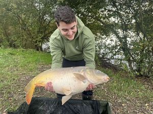 Mirror Carp