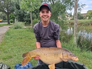 Common Carp
