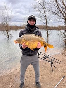 Mirror Carp