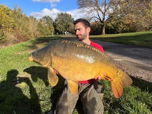 Mirror Carp