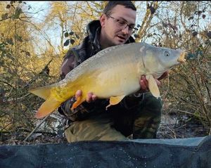 Mirror Carp