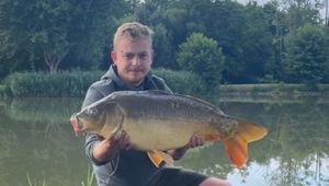 Mirror Carp