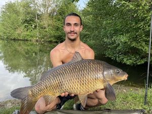 Common Carp