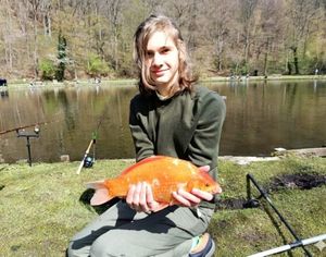 Goldfish