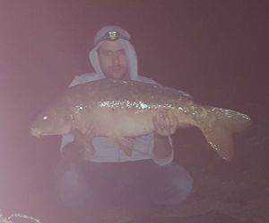 Mirror Carp