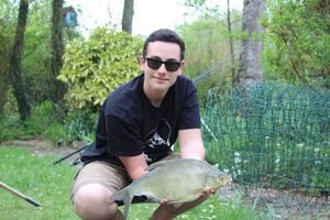 Common Bream