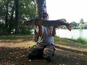 Northern Pike