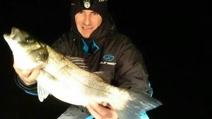European Bass (Seabass)