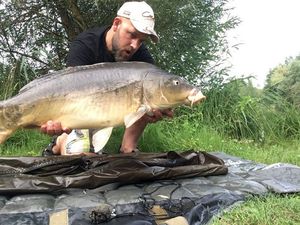 Mirror Carp