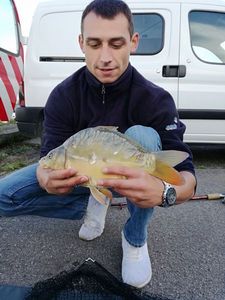 Leather Carp