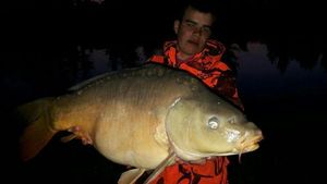 Mirror Carp