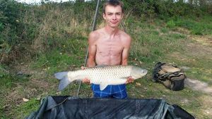 Silver Carp