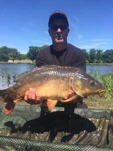 Mirror Carp