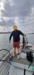 Black Bullhead