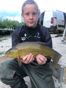 Tench
