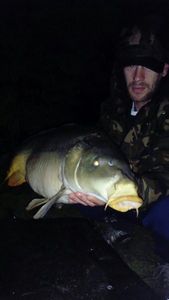 Mirror Carp