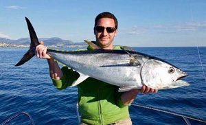Southern Bluefin Tuna