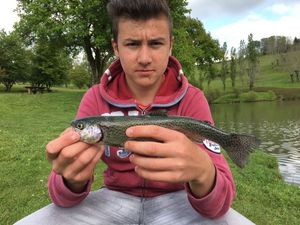Rainbow Trout