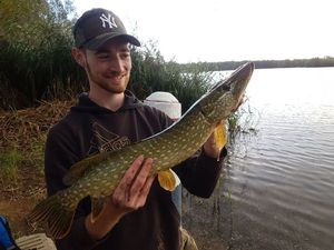 Northern Pike
