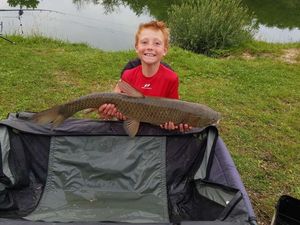 Silver Carp