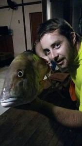 Mutton Snapper