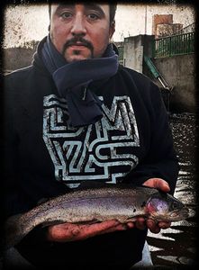 Rainbow Trout