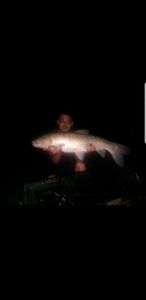 Silver Carp