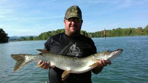 Northern Pike