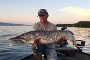Northern Pike