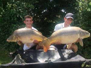 Mirror Carp