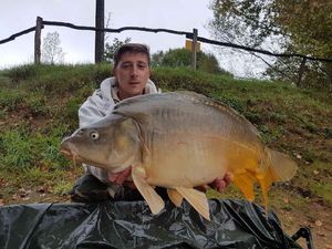 Mirror Carp