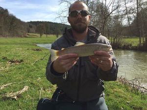 Brown Trout