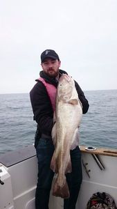 Atlantic Cod (Baltic)