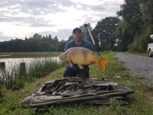 Mirror Carp