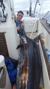 Blue Marlin (Atlantic)