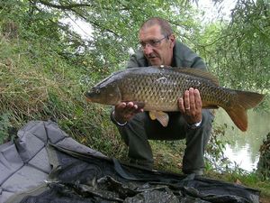 Common Carp
