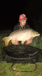 Mirror Carp