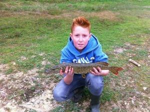 Northern Pike