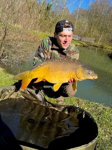 Mirror Carp