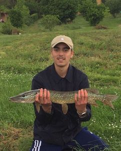 Northern Pike