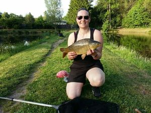 Common Carp