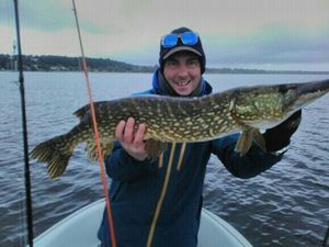 Northern Pike