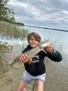 Northern Pike
