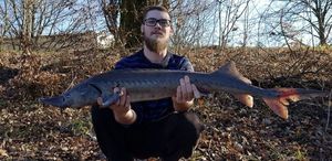 Starry Sturgeon